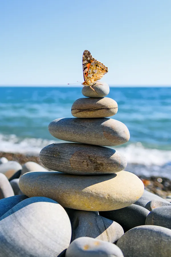 A butterfly atop a stack of stones. Get Alpha Lipoic Acid IV Therapy from Balanced Medical Solutions in San Francisco Bay Area.